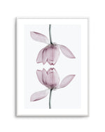 Lotus In Reflection Art Print-PRINT-Olive et Oriel-Olive et Oriel-A5 | 5.8" x 8.3" | 14.8 x 21cm-Unframed Art Print-With White Border-Buy-Australian-Art-Prints-Online-with-Olive-et-Oriel-Your-Artwork-Specialists-Austrailia-Decorate-With-Coastal-Photo-Wall-Art-Prints-From-Our-Beach-House-Artwork-Collection-Fine-Poster-and-Framed-Artwork