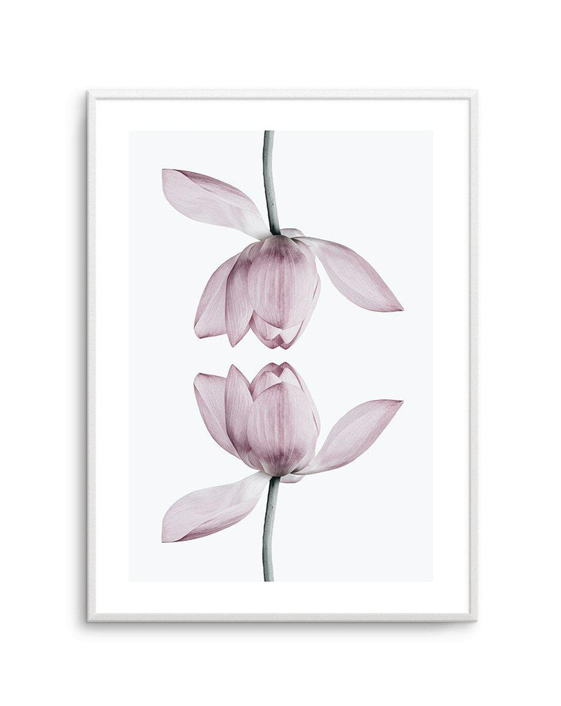 Lotus In Reflection Art Print-PRINT-Olive et Oriel-Olive et Oriel-A5 | 5.8" x 8.3" | 14.8 x 21cm-Unframed Art Print-With White Border-Buy-Australian-Art-Prints-Online-with-Olive-et-Oriel-Your-Artwork-Specialists-Austrailia-Decorate-With-Coastal-Photo-Wall-Art-Prints-From-Our-Beach-House-Artwork-Collection-Fine-Poster-and-Framed-Artwork