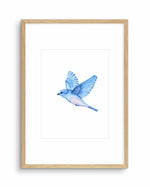 Love Bird II Art Print-PRINT-Olive et Oriel-Olive et Oriel-A5 | 5.8" x 8.3" | 14.8 x 21cm-Oak-With White Border-Buy-Australian-Art-Prints-Online-with-Olive-et-Oriel-Your-Artwork-Specialists-Austrailia-Decorate-With-Coastal-Photo-Wall-Art-Prints-From-Our-Beach-House-Artwork-Collection-Fine-Poster-and-Framed-Artwork