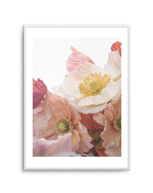 Luxe Poppy I Art Print-PRINT-Olive et Oriel-Olive et Oriel-A5 | 5.8" x 8.3" | 14.8 x 21cm-Unframed Art Print-With White Border-Buy-Australian-Art-Prints-Online-with-Olive-et-Oriel-Your-Artwork-Specialists-Austrailia-Decorate-With-Coastal-Photo-Wall-Art-Prints-From-Our-Beach-House-Artwork-Collection-Fine-Poster-and-Framed-Artwork
