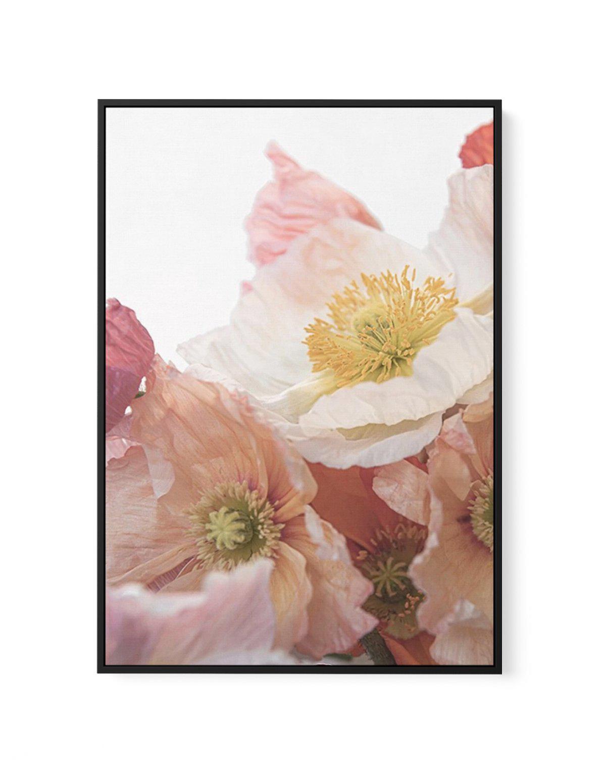 Luxe Poppy I | Framed Canvas-CANVAS-You can shop wall art online with Olive et Oriel for everything from abstract art to fun kids wall art. Our beautiful modern art prints and canvas art are available from large canvas prints to wall art paintings and our proudly Australian artwork collection offers only the highest quality framed large wall art and canvas art Australia - You can buy fashion photography prints or Hampton print posters and paintings on canvas from Olive et Oriel and have them del