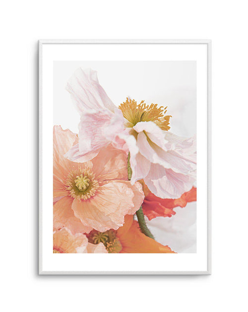 Luxe Poppy III Art Print-PRINT-Olive et Oriel-Olive et Oriel-A5 | 5.8" x 8.3" | 14.8 x 21cm-Unframed Art Print-With White Border-Buy-Australian-Art-Prints-Online-with-Olive-et-Oriel-Your-Artwork-Specialists-Austrailia-Decorate-With-Coastal-Photo-Wall-Art-Prints-From-Our-Beach-House-Artwork-Collection-Fine-Poster-and-Framed-Artwork