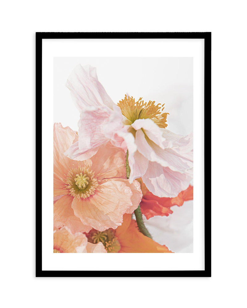 Luxe Poppy III Art Print-PRINT-Olive et Oriel-Olive et Oriel-A5 | 5.8" x 8.3" | 14.8 x 21cm-Black-With White Border-Buy-Australian-Art-Prints-Online-with-Olive-et-Oriel-Your-Artwork-Specialists-Austrailia-Decorate-With-Coastal-Photo-Wall-Art-Prints-From-Our-Beach-House-Artwork-Collection-Fine-Poster-and-Framed-Artwork