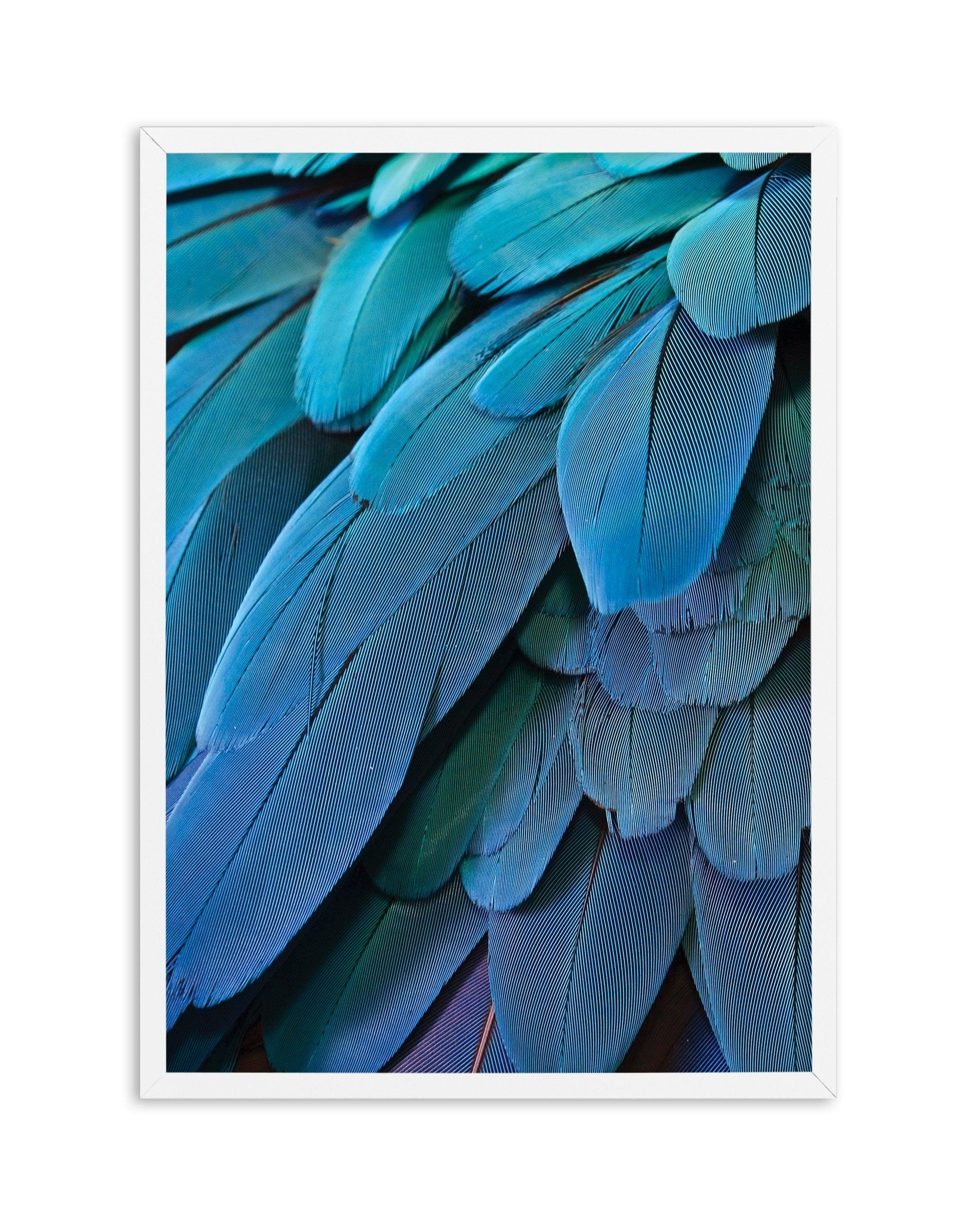 Macaw Art Print-PRINT-Olive et Oriel-Olive et Oriel-A5 | 5.8" x 8.3" | 14.8 x 21cm-White-With White Border-Buy-Australian-Art-Prints-Online-with-Olive-et-Oriel-Your-Artwork-Specialists-Austrailia-Decorate-With-Coastal-Photo-Wall-Art-Prints-From-Our-Beach-House-Artwork-Collection-Fine-Poster-and-Framed-Artwork