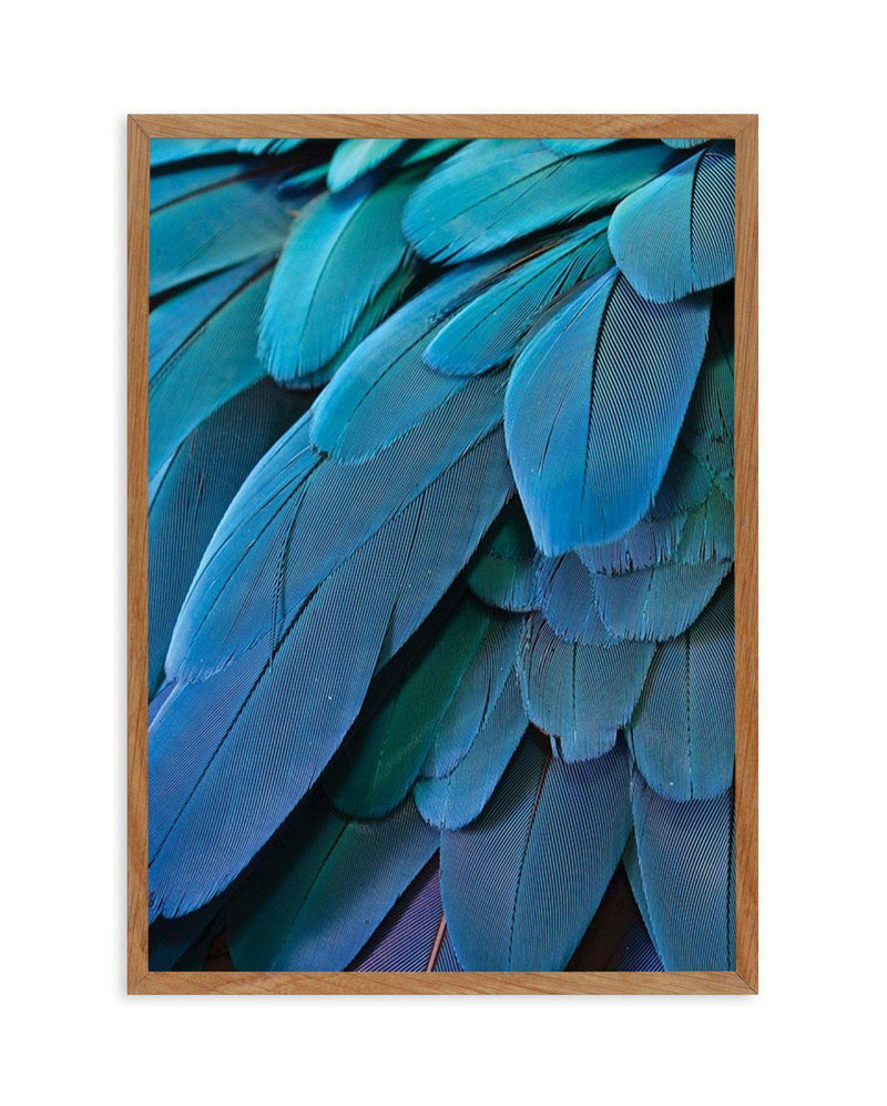 Macaw Art Print-PRINT-Olive et Oriel-Olive et Oriel-50x70 cm | 19.6" x 27.5"-Walnut-With White Border-Buy-Australian-Art-Prints-Online-with-Olive-et-Oriel-Your-Artwork-Specialists-Austrailia-Decorate-With-Coastal-Photo-Wall-Art-Prints-From-Our-Beach-House-Artwork-Collection-Fine-Poster-and-Framed-Artwork