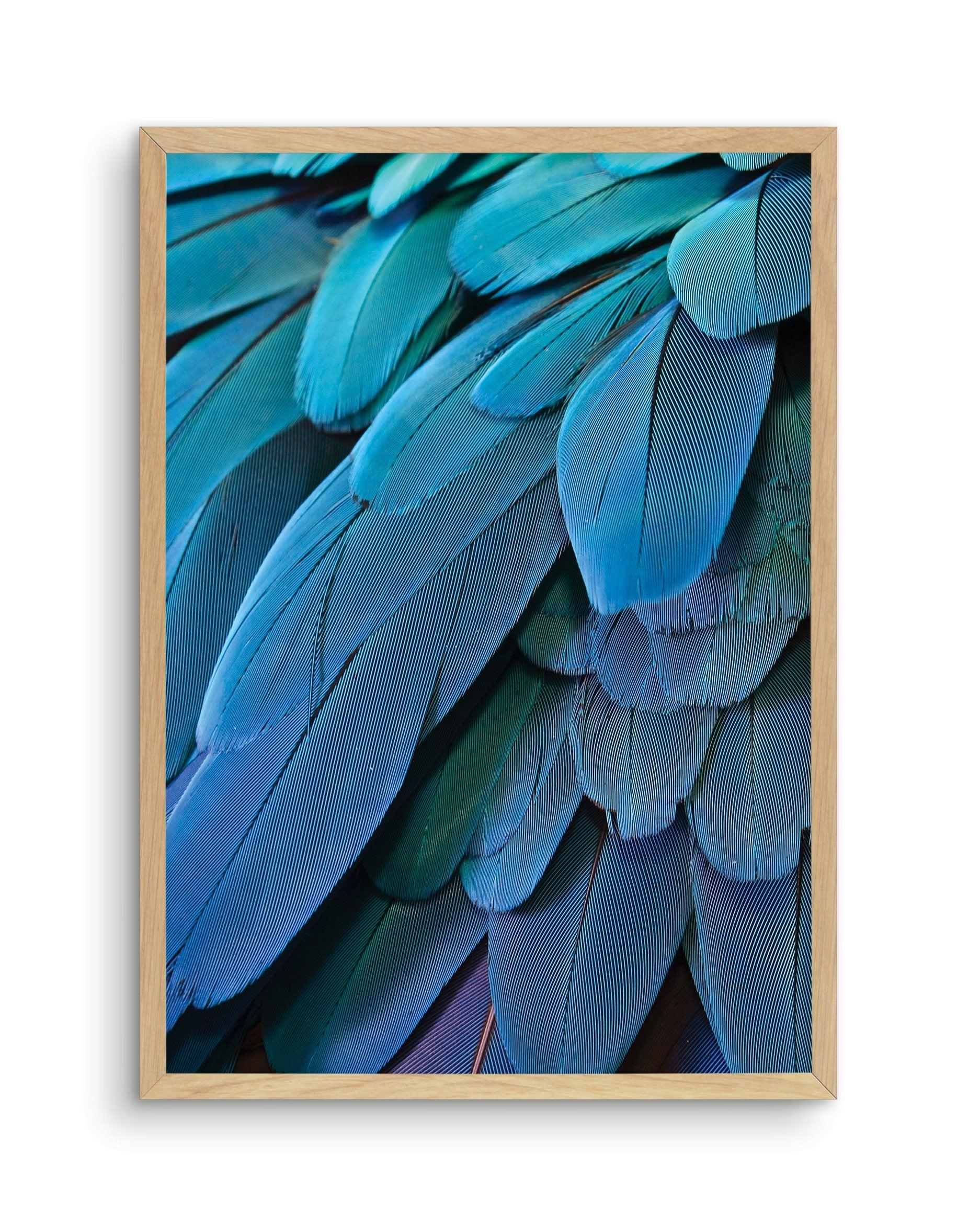 Macaw Art Print-PRINT-Olive et Oriel-Olive et Oriel-A5 | 5.8" x 8.3" | 14.8 x 21cm-Oak-With White Border-Buy-Australian-Art-Prints-Online-with-Olive-et-Oriel-Your-Artwork-Specialists-Austrailia-Decorate-With-Coastal-Photo-Wall-Art-Prints-From-Our-Beach-House-Artwork-Collection-Fine-Poster-and-Framed-Artwork