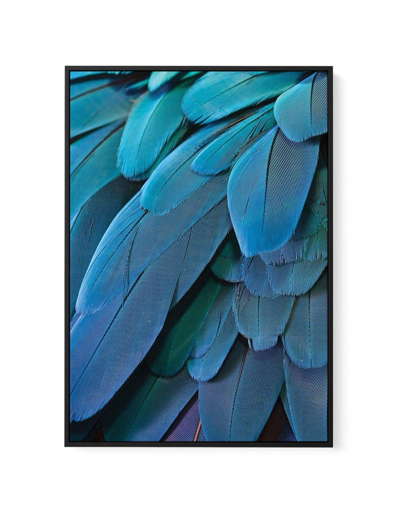 Macaw | Framed Canvas-CANVAS-You can shop wall art online with Olive et Oriel for everything from abstract art to fun kids wall art. Our beautiful modern art prints and canvas art are available from large canvas prints to wall art paintings and our proudly Australian artwork collection offers only the highest quality framed large wall art and canvas art Australia - You can buy fashion photography prints or Hampton print posters and paintings on canvas from Olive et Oriel and have them delivered 