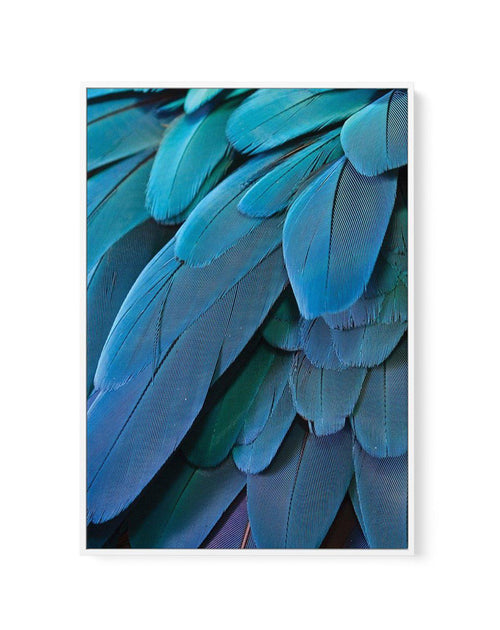 Macaw | Framed Canvas-CANVAS-You can shop wall art online with Olive et Oriel for everything from abstract art to fun kids wall art. Our beautiful modern art prints and canvas art are available from large canvas prints to wall art paintings and our proudly Australian artwork collection offers only the highest quality framed large wall art and canvas art Australia - You can buy fashion photography prints or Hampton print posters and paintings on canvas from Olive et Oriel and have them delivered 