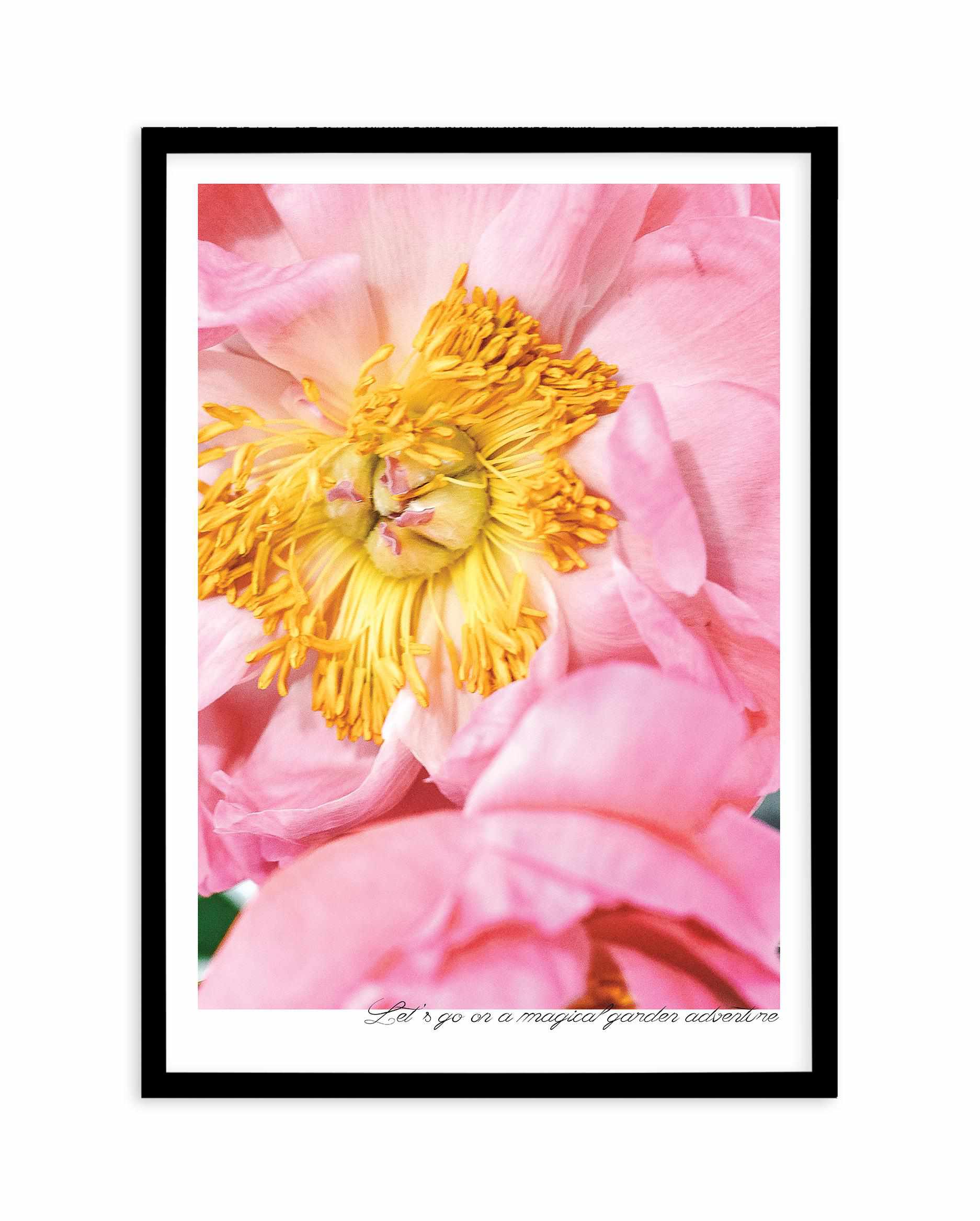 Peony Garden Art Print-PRINT-Olive et Oriel-Olive et Oriel-A5 | 5.8" x 8.3" | 14.8 x 21cm-Black-With White Border-Buy-Australian-Art-Prints-Online-with-Olive-et-Oriel-Your-Artwork-Specialists-Austrailia-Decorate-With-Coastal-Photo-Wall-Art-Prints-From-Our-Beach-House-Artwork-Collection-Fine-Poster-and-Framed-Artwork