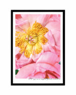 Peony Garden Art Print-PRINT-Olive et Oriel-Olive et Oriel-A5 | 5.8" x 8.3" | 14.8 x 21cm-Black-With White Border-Buy-Australian-Art-Prints-Online-with-Olive-et-Oriel-Your-Artwork-Specialists-Austrailia-Decorate-With-Coastal-Photo-Wall-Art-Prints-From-Our-Beach-House-Artwork-Collection-Fine-Poster-and-Framed-Artwork