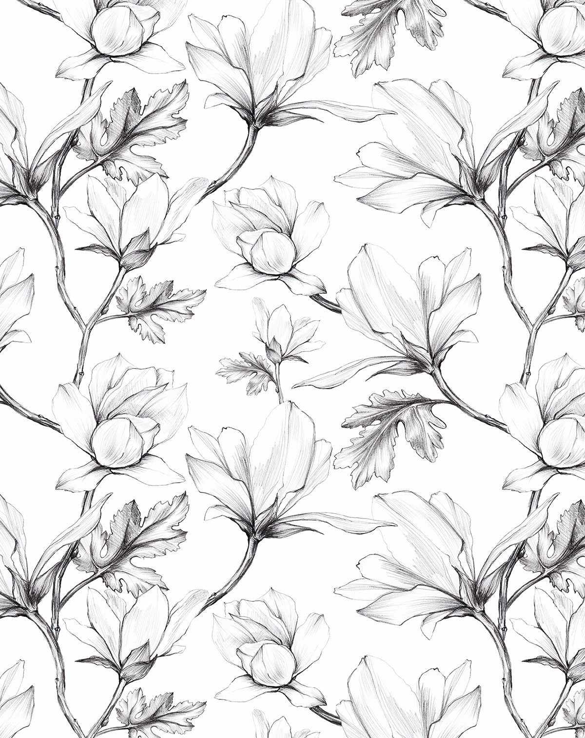 Magnolia Sketch Wallpaper-Wallpaper-Buy-Australian-Removable-Wallpaper-Now-In-Black-&-White-Wallpaper-Peel-And-Stick-Wallpaper-Online-At-Olive-et-Oriel-Custom-Made-Wallpapers-Wall-Papers-Decorate-Your-Bedroom-Living-Room-Kids-Room-or-Commercial-Interior