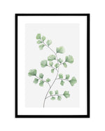 Maidenhair Fern I Art Print-PRINT-Olive et Oriel-Olive et Oriel-A4 | 8.3" x 11.7" | 21 x 29.7cm-Black-With White Border-Buy-Australian-Art-Prints-Online-with-Olive-et-Oriel-Your-Artwork-Specialists-Austrailia-Decorate-With-Coastal-Photo-Wall-Art-Prints-From-Our-Beach-House-Artwork-Collection-Fine-Poster-and-Framed-Artwork