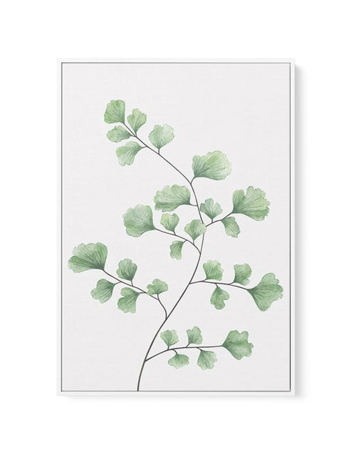 Maidenhair Fern | Framed Canvas-CANVAS-You can shop wall art online with Olive et Oriel for everything from abstract art to fun kids wall art. Our beautiful modern art prints and canvas art are available from large canvas prints to wall art paintings and our proudly Australian artwork collection offers only the highest quality framed large wall art and canvas art Australia - You can buy fashion photography prints or Hampton print posters and paintings on canvas from Olive et Oriel and have them 