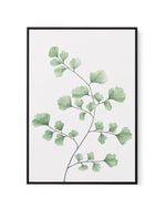 Maidenhair Fern | Framed Canvas-CANVAS-You can shop wall art online with Olive et Oriel for everything from abstract art to fun kids wall art. Our beautiful modern art prints and canvas art are available from large canvas prints to wall art paintings and our proudly Australian artwork collection offers only the highest quality framed large wall art and canvas art Australia - You can buy fashion photography prints or Hampton print posters and paintings on canvas from Olive et Oriel and have them 