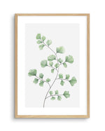 Maidenhair Fern I Art Print-PRINT-Olive et Oriel-Olive et Oriel-A4 | 8.3" x 11.7" | 21 x 29.7cm-Oak-With White Border-Buy-Australian-Art-Prints-Online-with-Olive-et-Oriel-Your-Artwork-Specialists-Austrailia-Decorate-With-Coastal-Photo-Wall-Art-Prints-From-Our-Beach-House-Artwork-Collection-Fine-Poster-and-Framed-Artwork