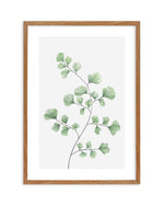 Maidenhair Fern I Art Print-PRINT-Olive et Oriel-Olive et Oriel-50x70 cm | 19.6" x 27.5"-Walnut-With White Border-Buy-Australian-Art-Prints-Online-with-Olive-et-Oriel-Your-Artwork-Specialists-Austrailia-Decorate-With-Coastal-Photo-Wall-Art-Prints-From-Our-Beach-House-Artwork-Collection-Fine-Poster-and-Framed-Artwork