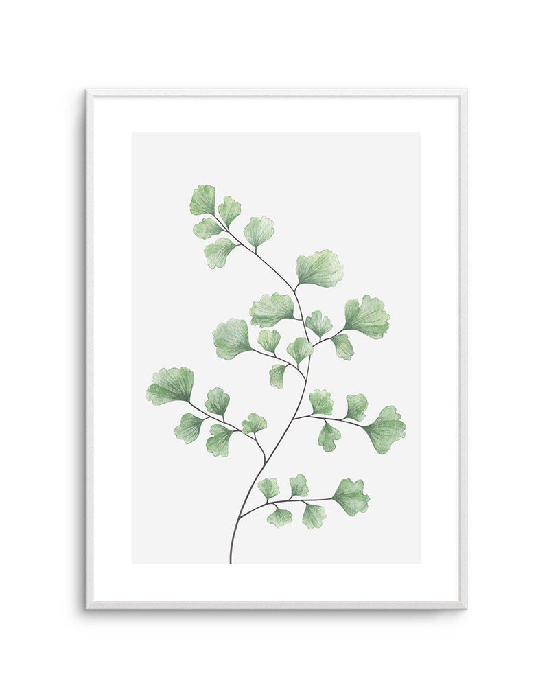 Maidenhair Fern I Art Print-PRINT-Olive et Oriel-Olive et Oriel-A4 | 8.3" x 11.7" | 21 x 29.7cm-Unframed Art Print-With White Border-Buy-Australian-Art-Prints-Online-with-Olive-et-Oriel-Your-Artwork-Specialists-Austrailia-Decorate-With-Coastal-Photo-Wall-Art-Prints-From-Our-Beach-House-Artwork-Collection-Fine-Poster-and-Framed-Artwork