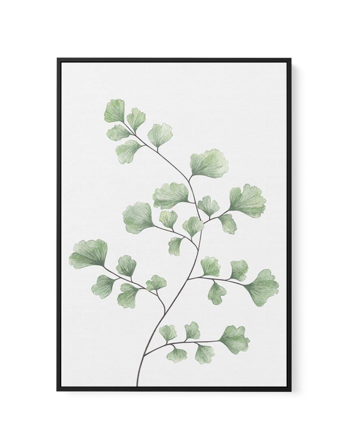 Maidenhair Fern I | Framed Canvas-CANVAS-You can shop wall art online with Olive et Oriel for everything from abstract art to fun kids wall art. Our beautiful modern art prints and canvas art are available from large canvas prints to wall art paintings and our proudly Australian artwork collection offers only the highest quality framed large wall art and canvas art Australia - You can buy fashion photography prints or Hampton print posters and paintings on canvas from Olive et Oriel and have the