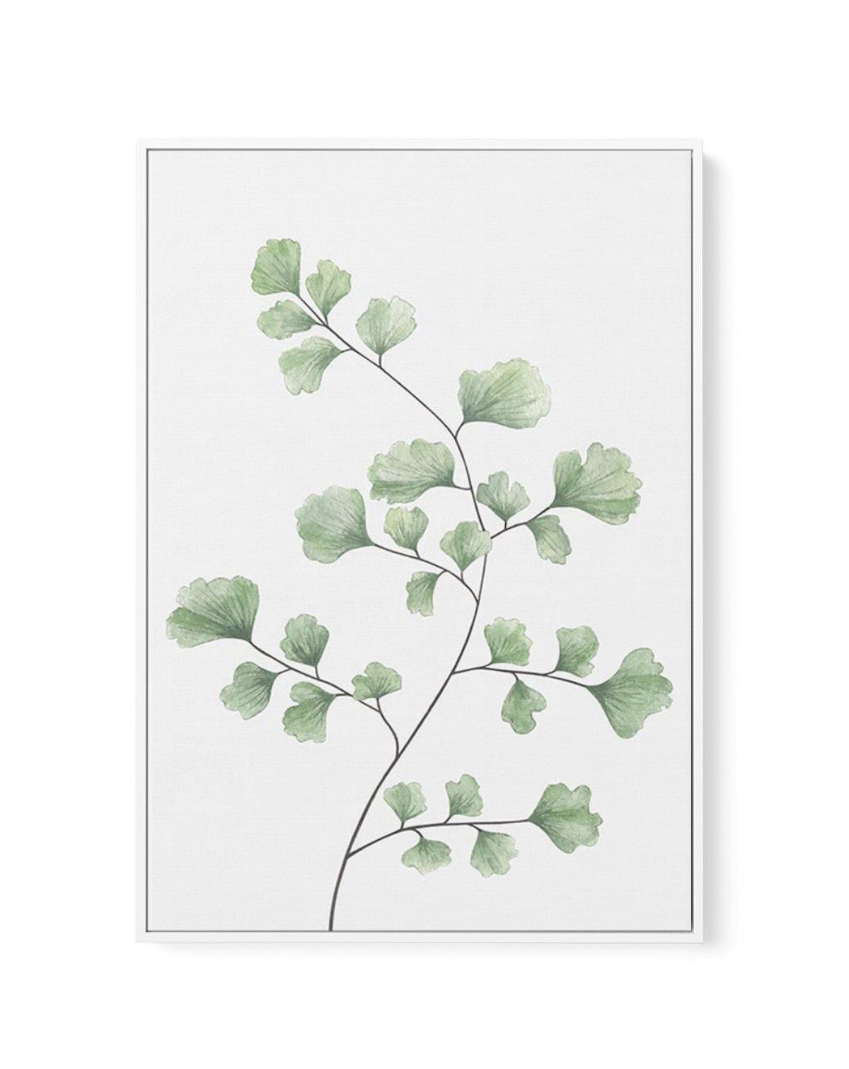 Maidenhair Fern I | Framed Canvas-CANVAS-You can shop wall art online with Olive et Oriel for everything from abstract art to fun kids wall art. Our beautiful modern art prints and canvas art are available from large canvas prints to wall art paintings and our proudly Australian artwork collection offers only the highest quality framed large wall art and canvas art Australia - You can buy fashion photography prints or Hampton print posters and paintings on canvas from Olive et Oriel and have the