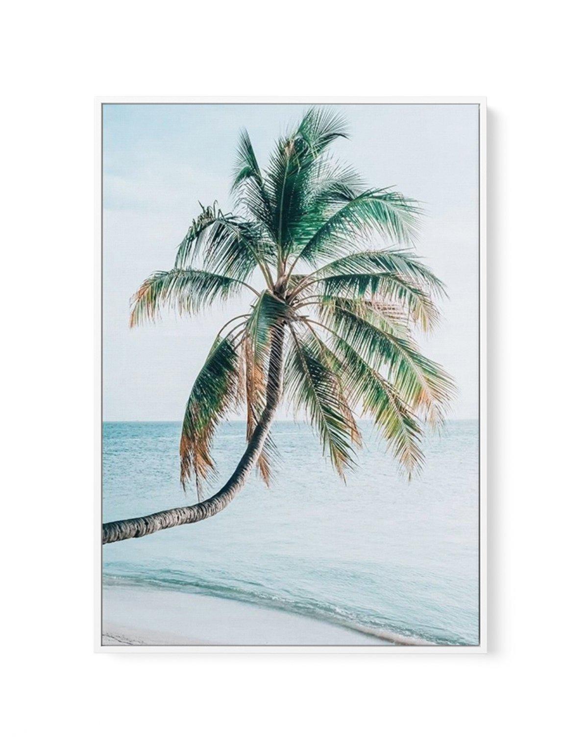 Maldivian Palm I | Framed Canvas-CANVAS-You can shop wall art online with Olive et Oriel for everything from abstract art to fun kids wall art. Our beautiful modern art prints and canvas art are available from large canvas prints to wall art paintings and our proudly Australian artwork collection offers only the highest quality framed large wall art and canvas art Australia - You can buy fashion photography prints or Hampton print posters and paintings on canvas from Olive et Oriel and have them