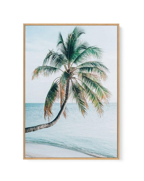 Maldivian Palm I | Framed Canvas-CANVAS-You can shop wall art online with Olive et Oriel for everything from abstract art to fun kids wall art. Our beautiful modern art prints and canvas art are available from large canvas prints to wall art paintings and our proudly Australian artwork collection offers only the highest quality framed large wall art and canvas art Australia - You can buy fashion photography prints or Hampton print posters and paintings on canvas from Olive et Oriel and have them