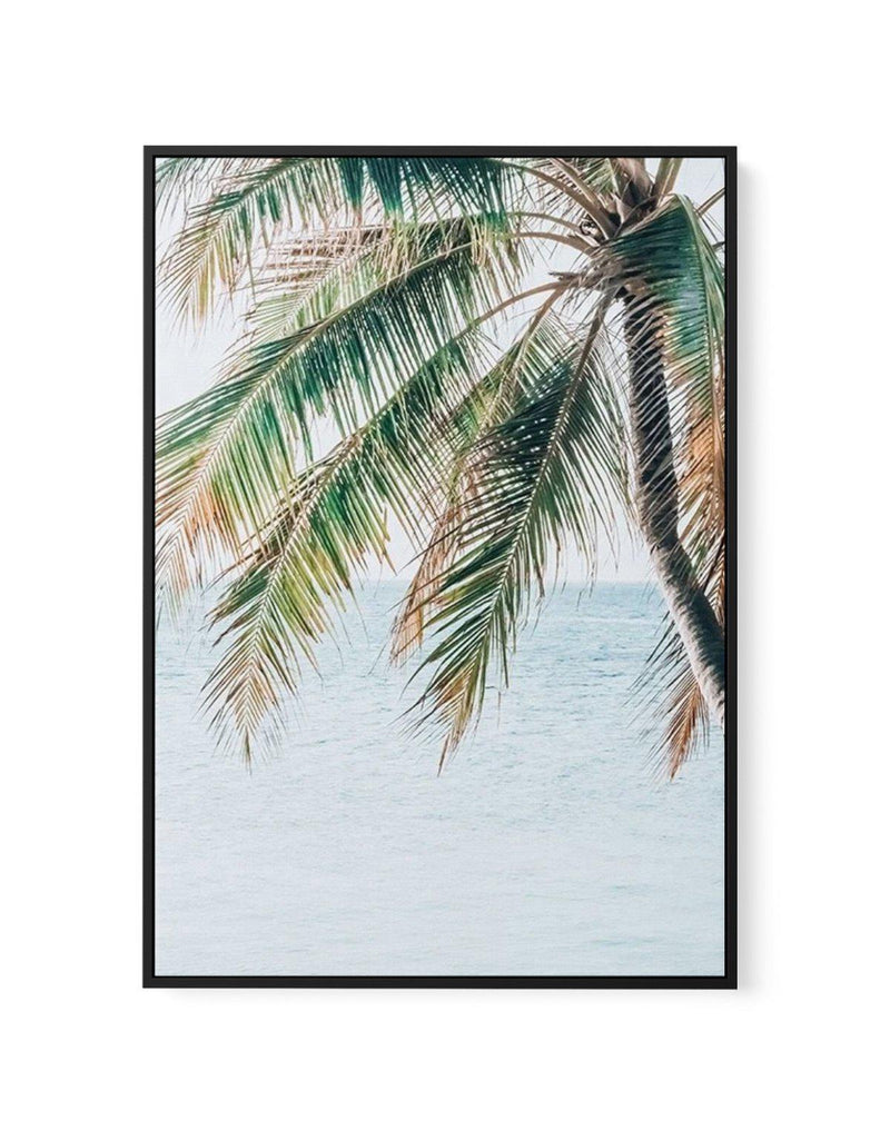 Maldivian Palm II | Framed Canvas-CANVAS-You can shop wall art online with Olive et Oriel for everything from abstract art to fun kids wall art. Our beautiful modern art prints and canvas art are available from large canvas prints to wall art paintings and our proudly Australian artwork collection offers only the highest quality framed large wall art and canvas art Australia - You can buy fashion photography prints or Hampton print posters and paintings on canvas from Olive et Oriel and have the