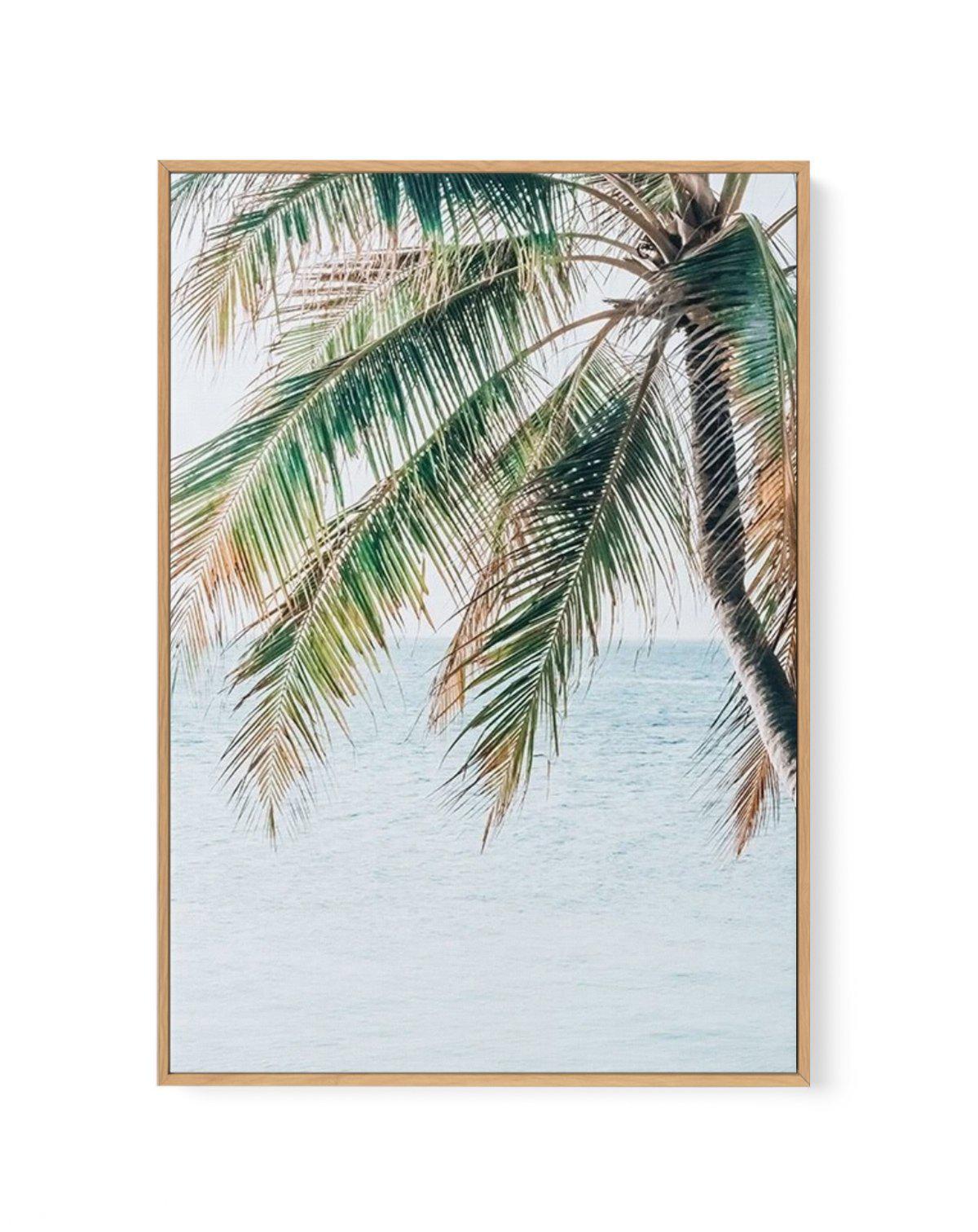 Maldivian Palm II | Framed Canvas-CANVAS-You can shop wall art online with Olive et Oriel for everything from abstract art to fun kids wall art. Our beautiful modern art prints and canvas art are available from large canvas prints to wall art paintings and our proudly Australian artwork collection offers only the highest quality framed large wall art and canvas art Australia - You can buy fashion photography prints or Hampton print posters and paintings on canvas from Olive et Oriel and have the