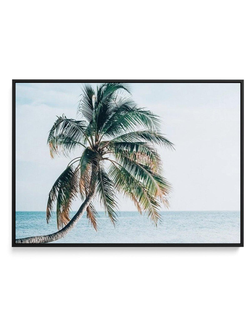 Maldivian Palm | LS | Framed Canvas-CANVAS-You can shop wall art online with Olive et Oriel for everything from abstract art to fun kids wall art. Our beautiful modern art prints and canvas art are available from large canvas prints to wall art paintings and our proudly Australian artwork collection offers only the highest quality framed large wall art and canvas art Australia - You can buy fashion photography prints or Hampton print posters and paintings on canvas from Olive et Oriel and have t