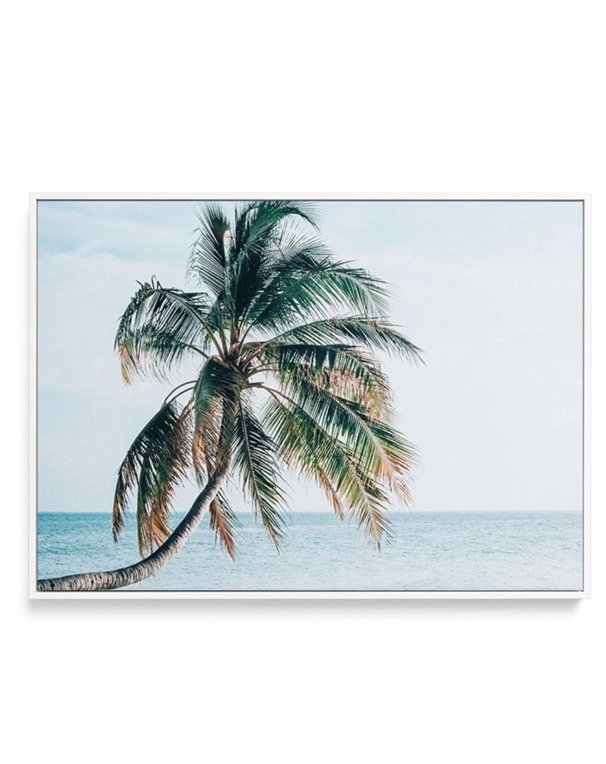 Maldivian Palm | LS | Framed Canvas-CANVAS-You can shop wall art online with Olive et Oriel for everything from abstract art to fun kids wall art. Our beautiful modern art prints and canvas art are available from large canvas prints to wall art paintings and our proudly Australian artwork collection offers only the highest quality framed large wall art and canvas art Australia - You can buy fashion photography prints or Hampton print posters and paintings on canvas from Olive et Oriel and have t