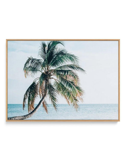 Maldivian Palm | LS | Framed Canvas-CANVAS-You can shop wall art online with Olive et Oriel for everything from abstract art to fun kids wall art. Our beautiful modern art prints and canvas art are available from large canvas prints to wall art paintings and our proudly Australian artwork collection offers only the highest quality framed large wall art and canvas art Australia - You can buy fashion photography prints or Hampton print posters and paintings on canvas from Olive et Oriel and have t