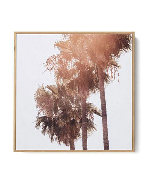Malibu-Palms-SQ-CANVAS-You can shop wall art online with Olive et Oriel for everything from abstract art to fun kids wall art. Our beautiful modern art prints and canvas art are available from large canvas prints to wall art paintings and our proudly Australian artwork collection offers only the highest quality framed large wall art and canvas art Australia - You can buy fashion photography prints or Hampton print posters and paintings on canvas from Olive et Oriel and have them delivered to you