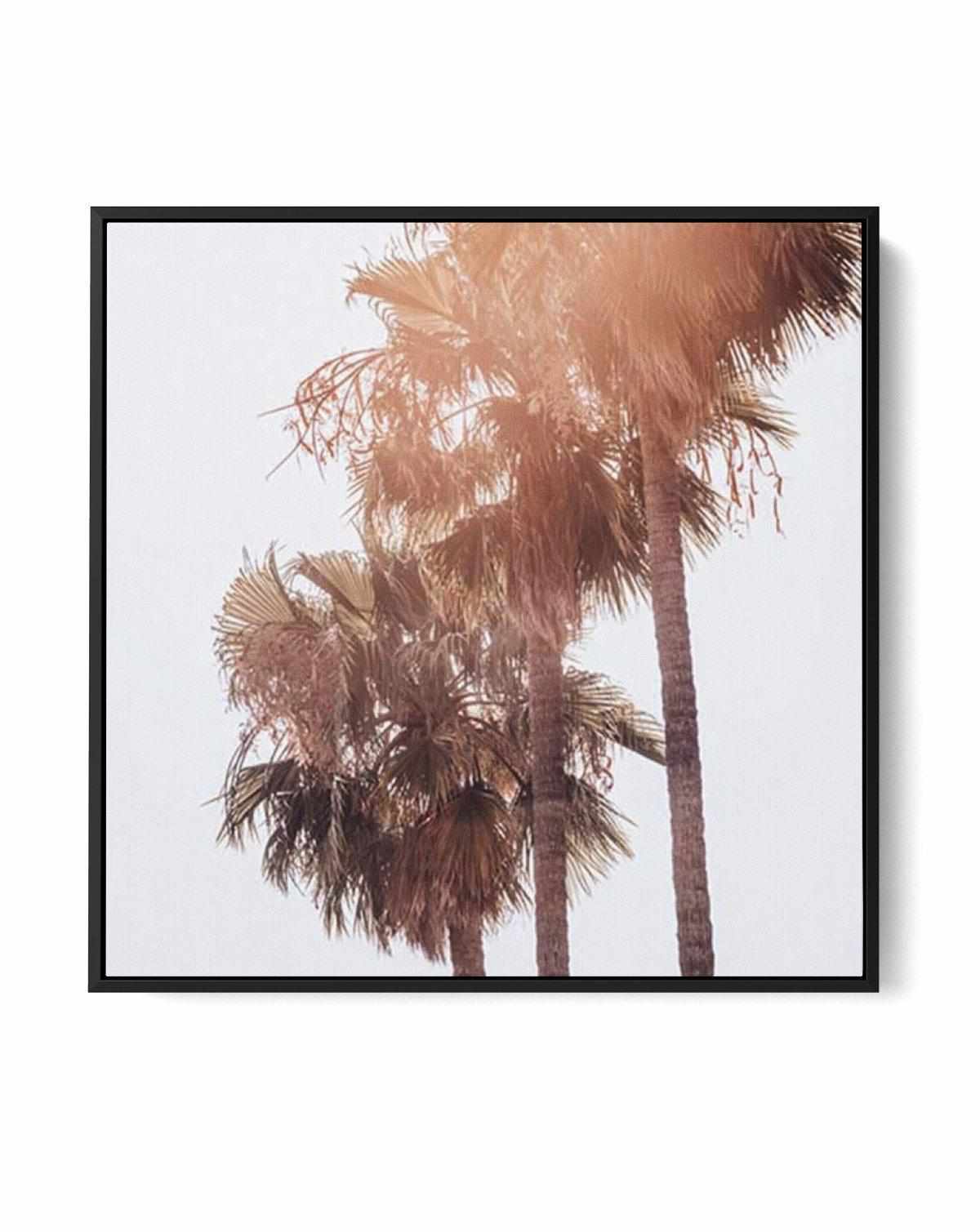 Malibu Palms SQ | Framed Canvas Art Print