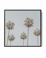 Melrose Ave Palms SQ | Framed Canvas-CANVAS-You can shop wall art online with Olive et Oriel for everything from abstract art to fun kids wall art. Our beautiful modern art prints and canvas art are available from large canvas prints to wall art paintings and our proudly Australian artwork collection offers only the highest quality framed large wall art and canvas art Australia - You can buy fashion photography prints or Hampton print posters and paintings on canvas from Olive et Oriel and have 