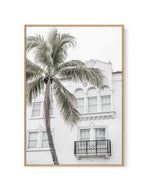 Miami Palms | Framed Canvas-CANVAS-You can shop wall art online with Olive et Oriel for everything from abstract art to fun kids wall art. Our beautiful modern art prints and canvas art are available from large canvas prints to wall art paintings and our proudly Australian artwork collection offers only the highest quality framed large wall art and canvas art Australia - You can buy fashion photography prints or Hampton print posters and paintings on canvas from Olive et Oriel and have them deli