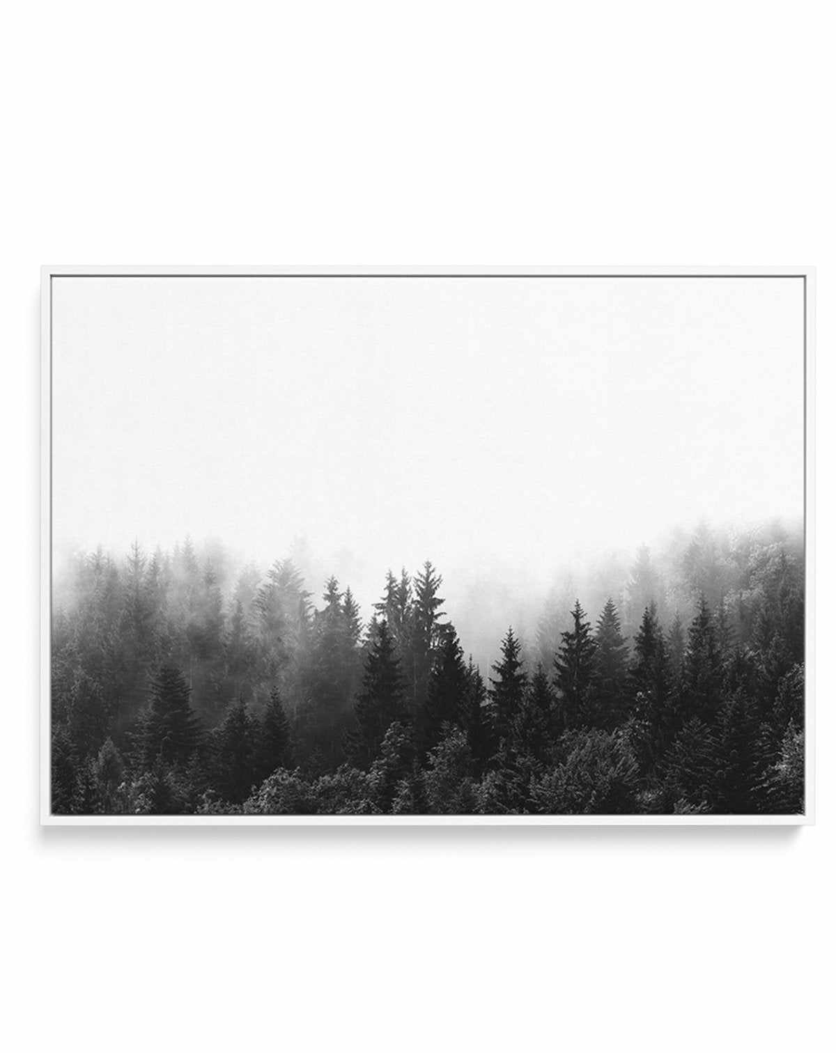 Misty Forest B&W | LS | Framed Canvas-CANVAS-You can shop wall art online with Olive et Oriel for everything from abstract art to fun kids wall art. Our beautiful modern art prints and canvas art are available from large canvas prints to wall art paintings and our proudly Australian artwork collection offers only the highest quality framed large wall art and canvas art Australia - You can buy fashion photography prints or Hampton print posters and paintings on canvas from Olive et Oriel and have