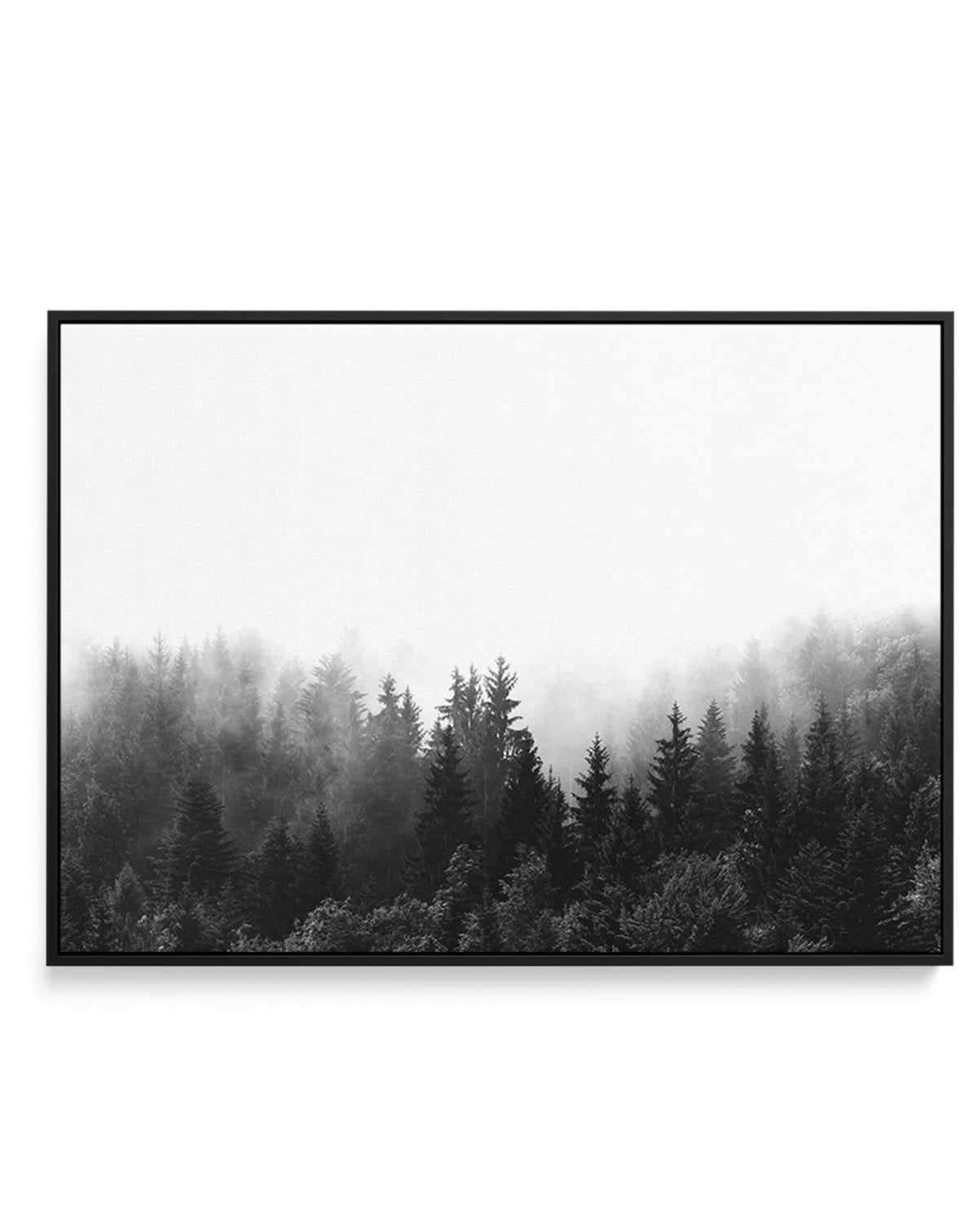 Misty Forest B&W | LS | Framed Canvas-CANVAS-You can shop wall art online with Olive et Oriel for everything from abstract art to fun kids wall art. Our beautiful modern art prints and canvas art are available from large canvas prints to wall art paintings and our proudly Australian artwork collection offers only the highest quality framed large wall art and canvas art Australia - You can buy fashion photography prints or Hampton print posters and paintings on canvas from Olive et Oriel and have