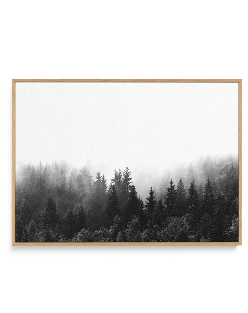 Misty Forest B&W | LS | Framed Canvas-CANVAS-You can shop wall art online with Olive et Oriel for everything from abstract art to fun kids wall art. Our beautiful modern art prints and canvas art are available from large canvas prints to wall art paintings and our proudly Australian artwork collection offers only the highest quality framed large wall art and canvas art Australia - You can buy fashion photography prints or Hampton print posters and paintings on canvas from Olive et Oriel and have