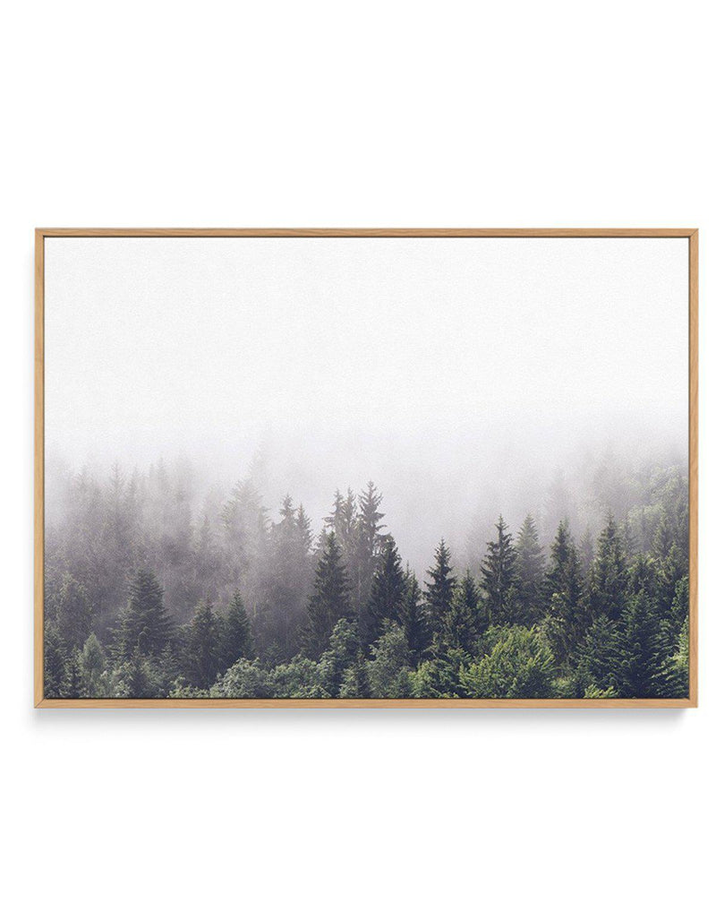 Misty Forest LS | Framed Canvas-CANVAS-You can shop wall art online with Olive et Oriel for everything from abstract art to fun kids wall art. Our beautiful modern art prints and canvas art are available from large canvas prints to wall art paintings and our proudly Australian artwork collection offers only the highest quality framed large wall art and canvas art Australia - You can buy fashion photography prints or Hampton print posters and paintings on canvas from Olive et Oriel and have them 