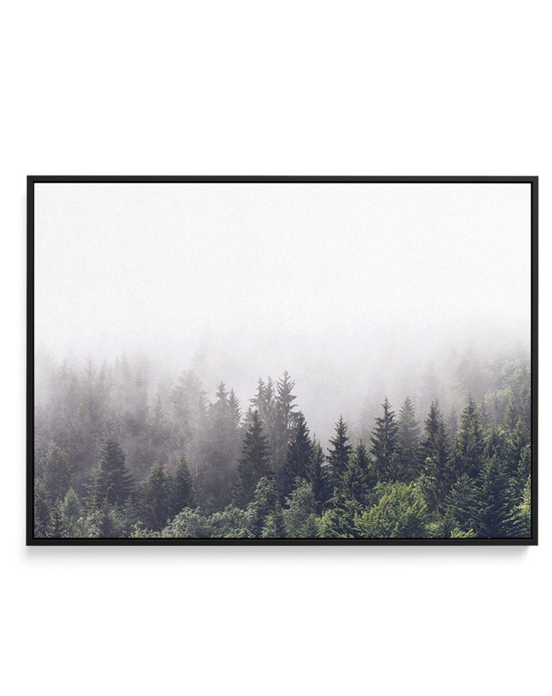 Misty Forest LS | Framed Canvas-CANVAS-You can shop wall art online with Olive et Oriel for everything from abstract art to fun kids wall art. Our beautiful modern art prints and canvas art are available from large canvas prints to wall art paintings and our proudly Australian artwork collection offers only the highest quality framed large wall art and canvas art Australia - You can buy fashion photography prints or Hampton print posters and paintings on canvas from Olive et Oriel and have them 