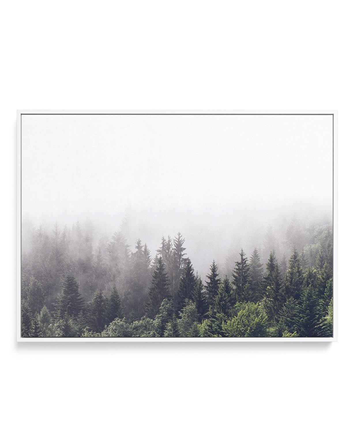 Misty Forest LS | Framed Canvas-CANVAS-You can shop wall art online with Olive et Oriel for everything from abstract art to fun kids wall art. Our beautiful modern art prints and canvas art are available from large canvas prints to wall art paintings and our proudly Australian artwork collection offers only the highest quality framed large wall art and canvas art Australia - You can buy fashion photography prints or Hampton print posters and paintings on canvas from Olive et Oriel and have them 