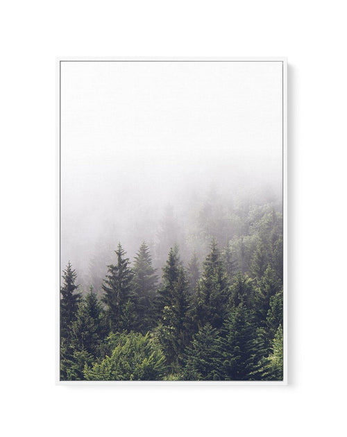 Misty Forest PT | Framed Canvas-CANVAS-You can shop wall art online with Olive et Oriel for everything from abstract art to fun kids wall art. Our beautiful modern art prints and canvas art are available from large canvas prints to wall art paintings and our proudly Australian artwork collection offers only the highest quality framed large wall art and canvas art Australia - You can buy fashion photography prints or Hampton print posters and paintings on canvas from Olive et Oriel and have them 