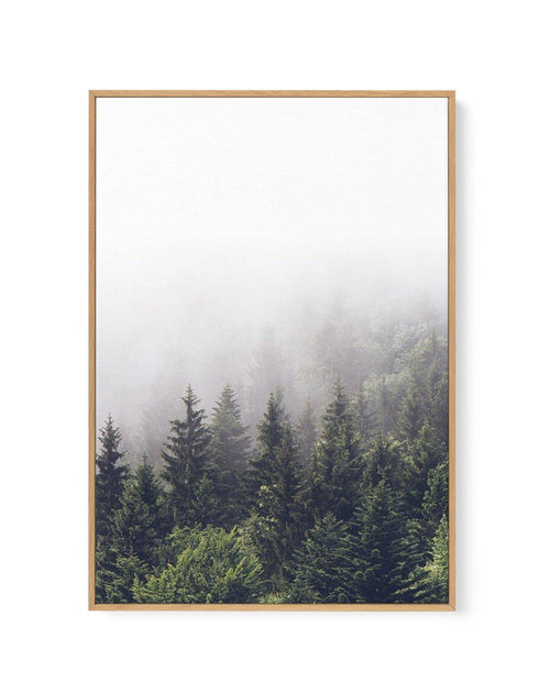 Misty Forest PT | Framed Canvas-CANVAS-You can shop wall art online with Olive et Oriel for everything from abstract art to fun kids wall art. Our beautiful modern art prints and canvas art are available from large canvas prints to wall art paintings and our proudly Australian artwork collection offers only the highest quality framed large wall art and canvas art Australia - You can buy fashion photography prints or Hampton print posters and paintings on canvas from Olive et Oriel and have them 