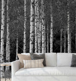 Monochrome Birch Forest Wallpaper - Olive et Oriel