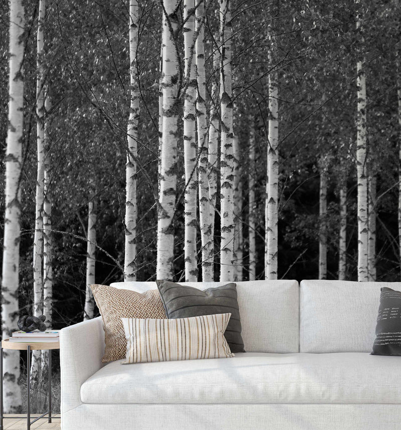 Monochrome Birch Forest Wallpaper - Olive et Oriel