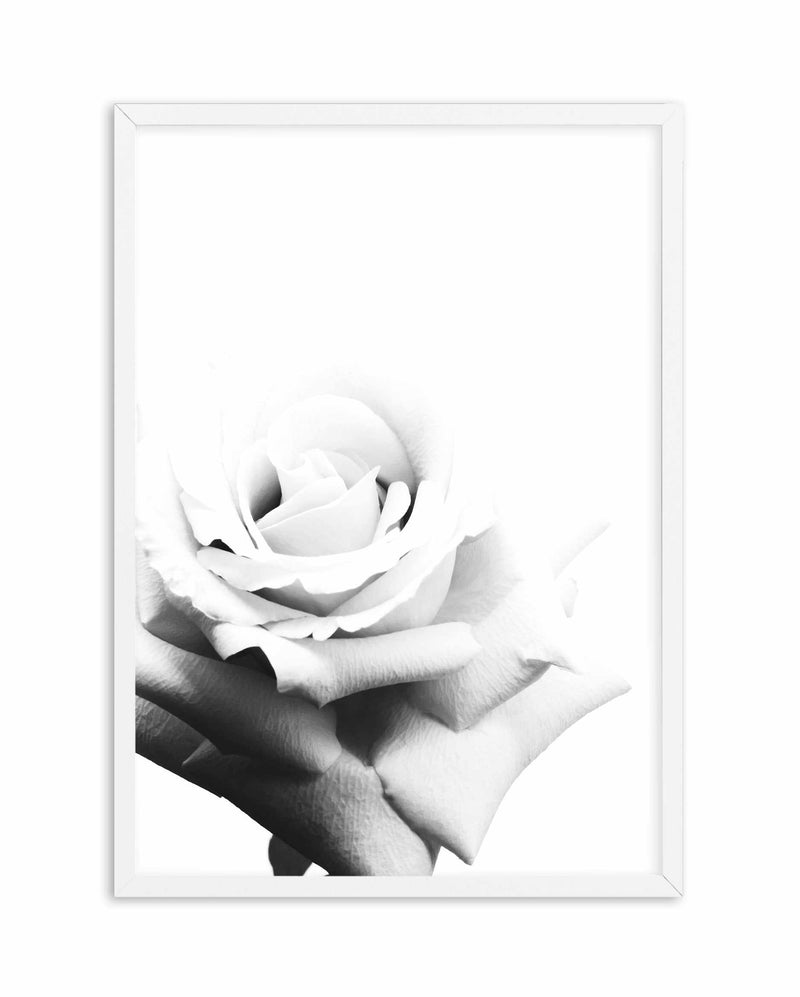 Monochrome Rose Art Print-PRINT-Olive et Oriel-Olive et Oriel-A5 | 5.8" x 8.3" | 14.8 x 21cm-White-With White Border-Buy-Australian-Art-Prints-Online-with-Olive-et-Oriel-Your-Artwork-Specialists-Austrailia-Decorate-With-Coastal-Photo-Wall-Art-Prints-From-Our-Beach-House-Artwork-Collection-Fine-Poster-and-Framed-Artwork