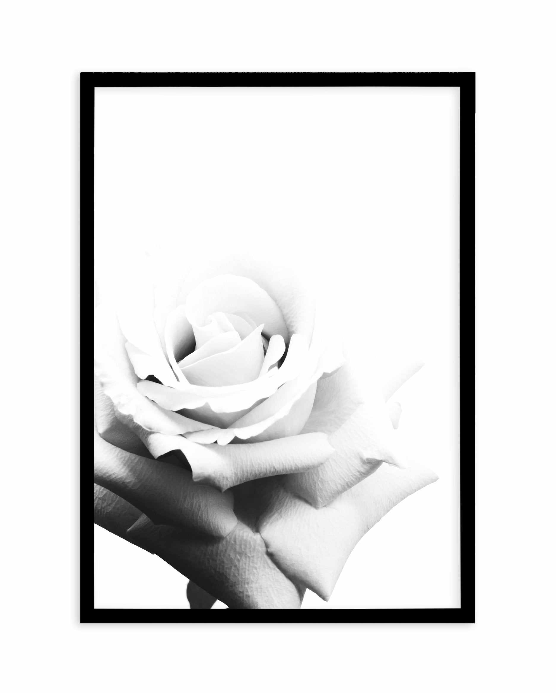 Monochrome Rose Art Print-PRINT-Olive et Oriel-Olive et Oriel-A5 | 5.8" x 8.3" | 14.8 x 21cm-Black-With White Border-Buy-Australian-Art-Prints-Online-with-Olive-et-Oriel-Your-Artwork-Specialists-Austrailia-Decorate-With-Coastal-Photo-Wall-Art-Prints-From-Our-Beach-House-Artwork-Collection-Fine-Poster-and-Framed-Artwork