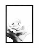 Monochrome Rose Art Print-PRINT-Olive et Oriel-Olive et Oriel-A5 | 5.8" x 8.3" | 14.8 x 21cm-Black-With White Border-Buy-Australian-Art-Prints-Online-with-Olive-et-Oriel-Your-Artwork-Specialists-Austrailia-Decorate-With-Coastal-Photo-Wall-Art-Prints-From-Our-Beach-House-Artwork-Collection-Fine-Poster-and-Framed-Artwork