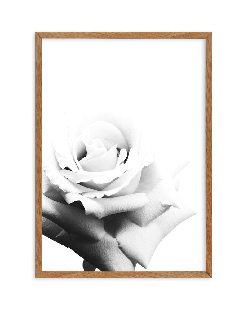 Monochrome Rose Art Print-PRINT-Olive et Oriel-Olive et Oriel-50x70 cm | 19.6" x 27.5"-Walnut-With White Border-Buy-Australian-Art-Prints-Online-with-Olive-et-Oriel-Your-Artwork-Specialists-Austrailia-Decorate-With-Coastal-Photo-Wall-Art-Prints-From-Our-Beach-House-Artwork-Collection-Fine-Poster-and-Framed-Artwork