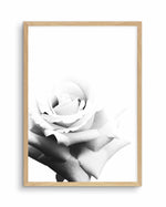 Monochrome Rose Art Print-PRINT-Olive et Oriel-Olive et Oriel-A5 | 5.8" x 8.3" | 14.8 x 21cm-Oak-With White Border-Buy-Australian-Art-Prints-Online-with-Olive-et-Oriel-Your-Artwork-Specialists-Austrailia-Decorate-With-Coastal-Photo-Wall-Art-Prints-From-Our-Beach-House-Artwork-Collection-Fine-Poster-and-Framed-Artwork
