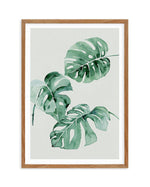 Monstera Abstract Watercolour Art Print-PRINT-Olive et Oriel-Olive et Oriel-50x70 cm | 19.6" x 27.5"-Walnut-With White Border-Buy-Australian-Art-Prints-Online-with-Olive-et-Oriel-Your-Artwork-Specialists-Austrailia-Decorate-With-Coastal-Photo-Wall-Art-Prints-From-Our-Beach-House-Artwork-Collection-Fine-Poster-and-Framed-Artwork